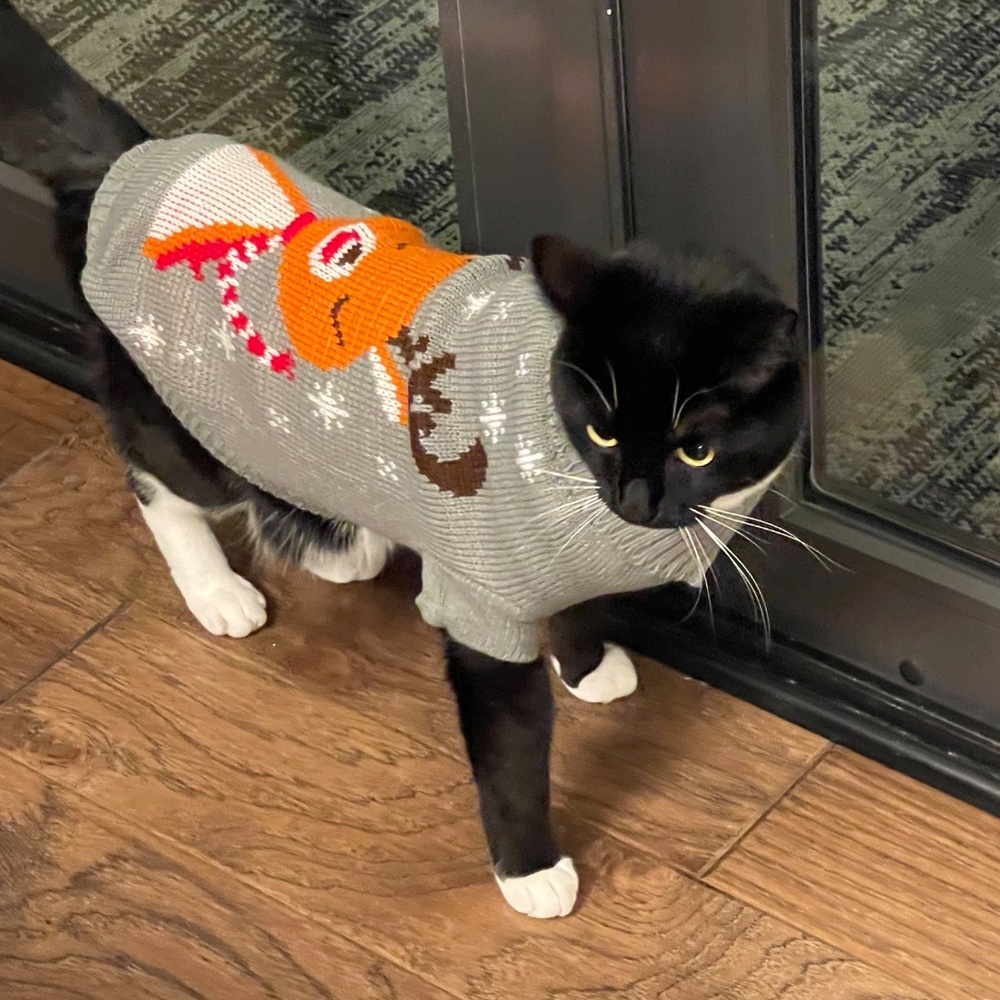 2 Holiday Reindeer Dog/Cat Sweaters